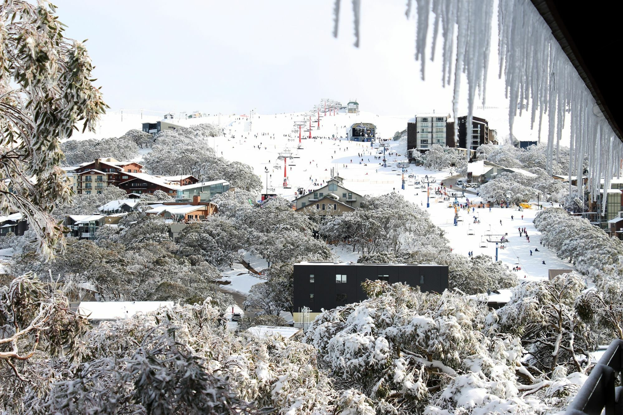 Hotel Alpine Retreat Mt Buller Mount Buller Exterior foto